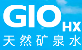 GIO（北京）网站开发制作完成，上线！