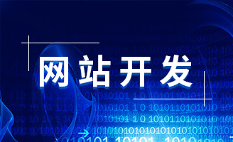 为什么选择专业网站开发公司是成功的关键？