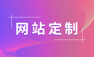 专业网站开发_高端定制_源码交付